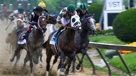 expert picks for the preakness.